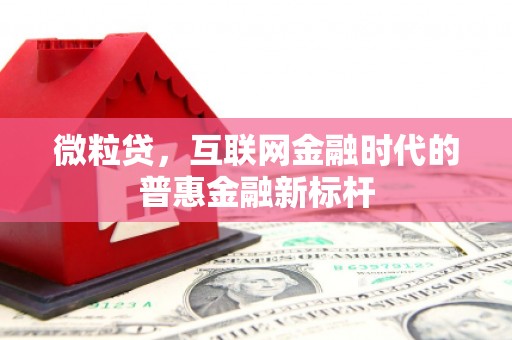 永新微粒贷，互联网金融时代的普惠金融新标杆