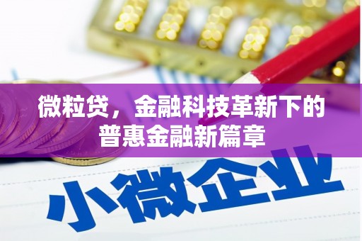 永新微粒贷，金融科技革新下的普惠金融新篇章