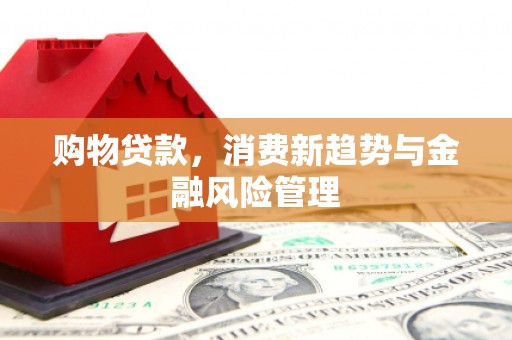 永新购物贷款，消费新趋势与金融风险管理