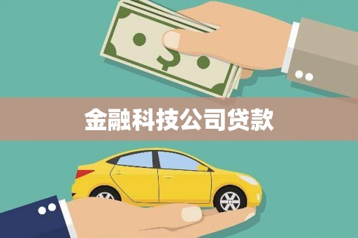 永新金融科技公司贷款