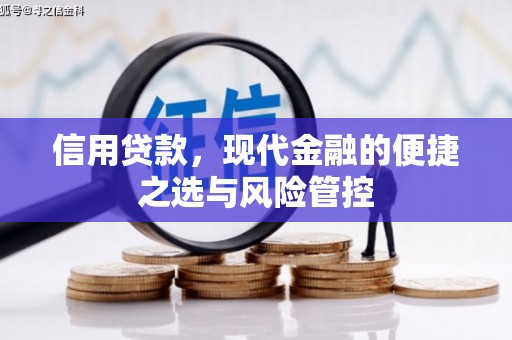 永新信用贷款，现代金融的便捷之选与风险管控