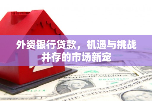 永新外资银行贷款，机遇与挑战并存的市场新宠