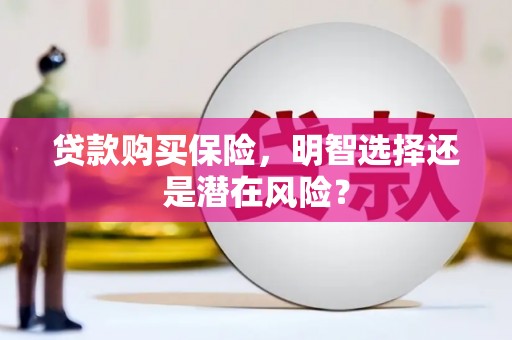 永新贷款购买保险，明智选择还是潜在风险？