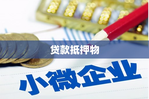 永新贷款抵押物