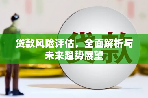 永新贷款风险评估，全面解析与未来趋势展望
