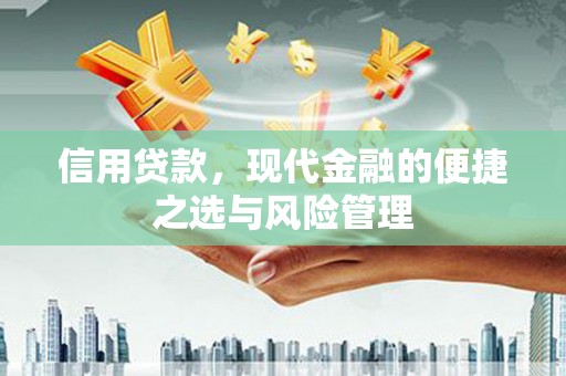 永新信用贷款，现代金融的便捷之选与风险管理