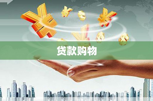 永新贷款购物