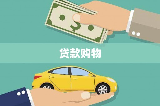 永新贷款购物