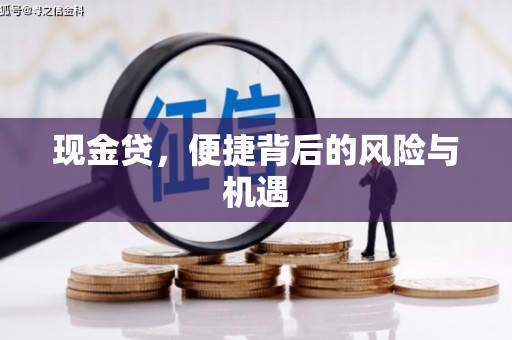 永新现金贷，便捷背后的风险与机遇
