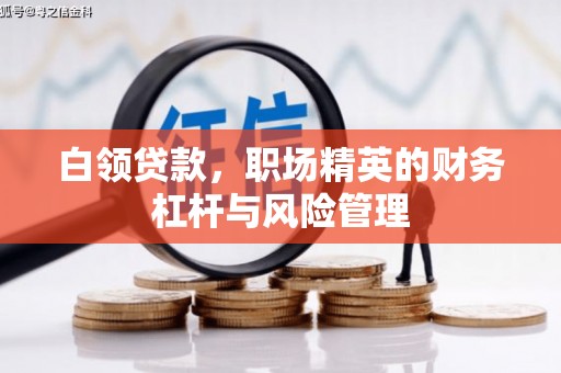 永新白领贷款，职场精英的财务杠杆与风险管理