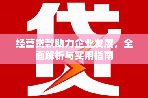 永新经营贷款助力企业发展，全面解析与实用指南
