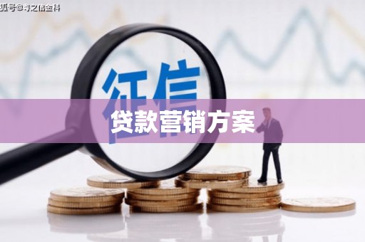 永新贷款营销方案