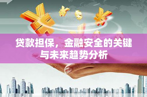永新贷款担保，金融安全的关键与未来趋势分析