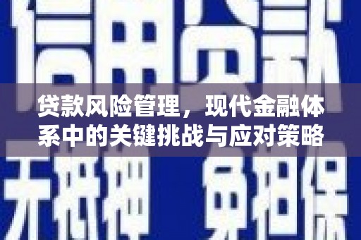 永新贷款风险管理，现代金融体系中的关键挑战与应对策略
