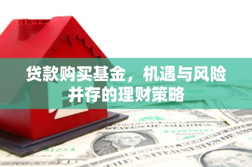永新贷款购买基金，机遇与风险并存的理财策略
