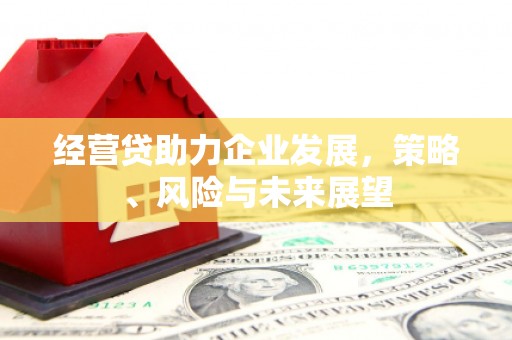 永新经营贷助力企业发展，策略、风险与未来展望