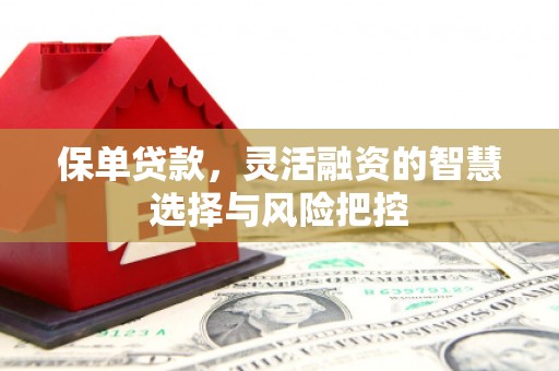 永新保单贷款，灵活融资的智慧选择与风险把控