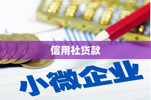 永新信用社贷款
