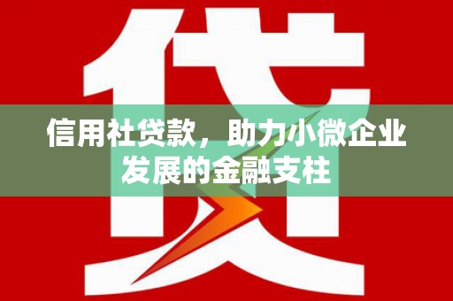 永新信用社贷款，助力小微企业发展的金融支柱
