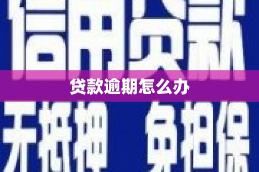 永新贷款逾期怎么办