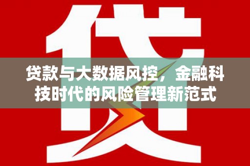 永新贷款与大数据风控，金融科技时代的风险管理新范式