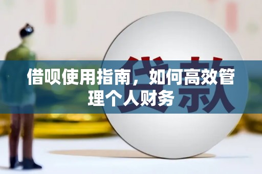 永新借呗使用指南，如何高效管理个人财务