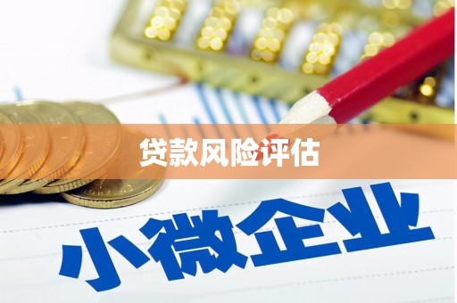 永新贷款风险评估