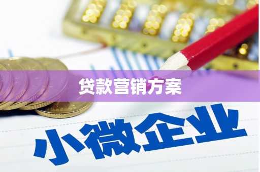 永新贷款营销方案