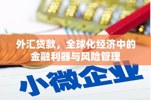 永新外汇贷款，全球化经济中的金融利器与风险管理