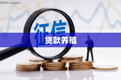 永新贷款养殖