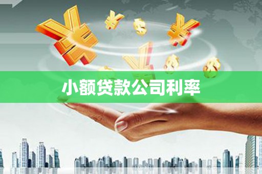 永新小额贷款公司利率