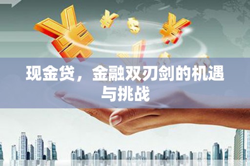 永新现金贷，金融双刃剑的机遇与挑战