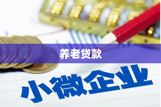 永新养老贷款