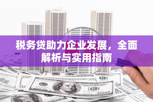永新税务贷助力企业发展，全面解析与实用指南