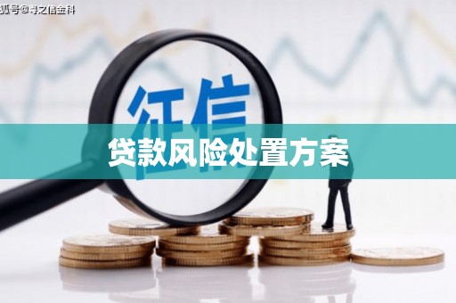 永新贷款风险处置方案