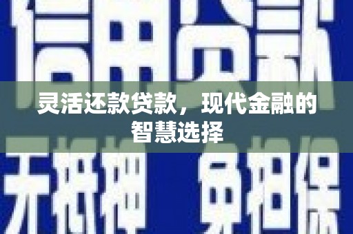 永新灵活还款贷款，现代金融的智慧选择