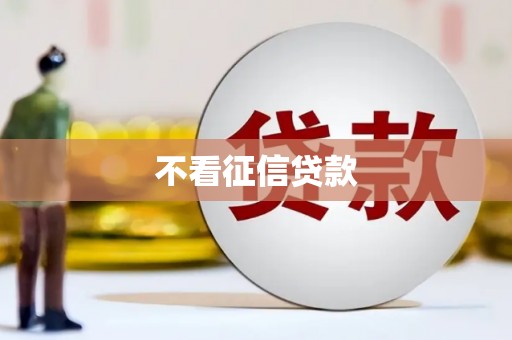 永新不看征信贷款