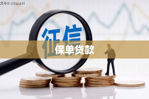 永新保单贷款