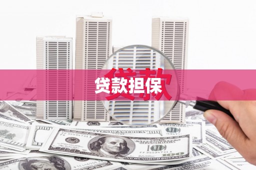 永新贷款担保