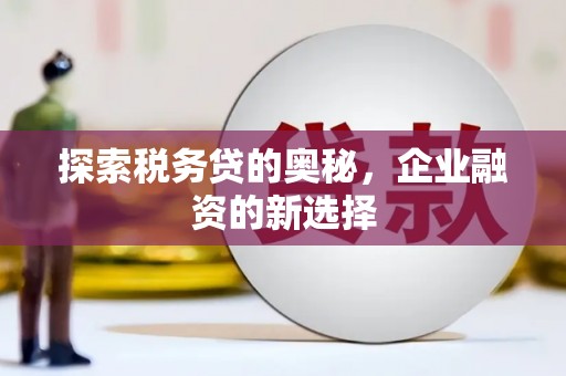 永新探索税务贷的奥秘，企业融资的新选择