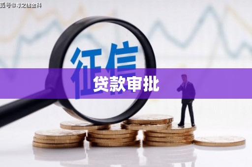 永新贷款审批