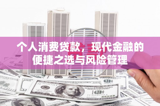 永新个人消费贷款，现代金融的便捷之选与风险管理