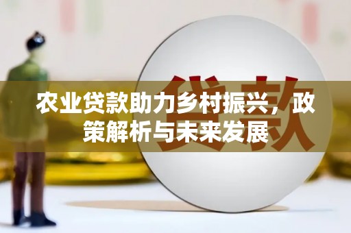 永新农业贷款助力乡村振兴，政策解析与未来发展
