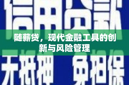 永新随薪贷，现代金融工具的创新与风险管理