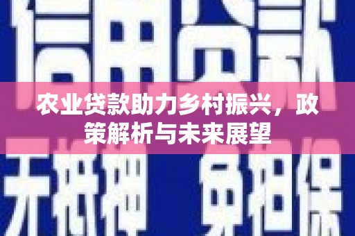 永新农业贷款助力乡村振兴，政策解析与未来展望