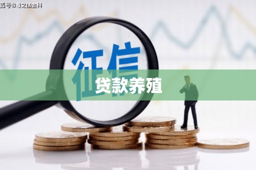 永新贷款养殖