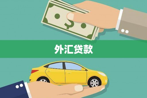 永新外汇贷款