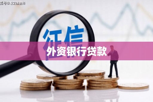 永新外资银行贷款