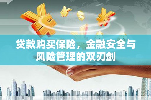 永新贷款购买保险，金融安全与风险管理的双刃剑