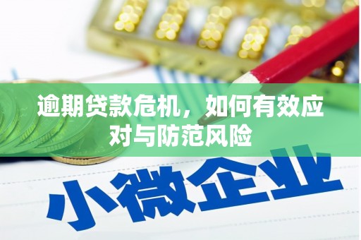 永新逾期贷款危机，如何有效应对与防范风险